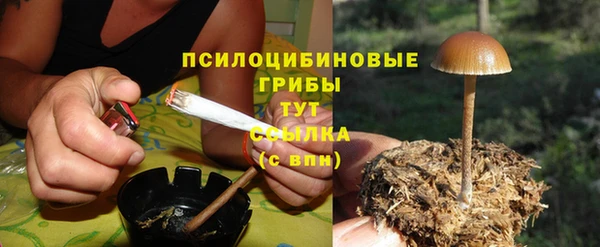 твердый Белоозёрский