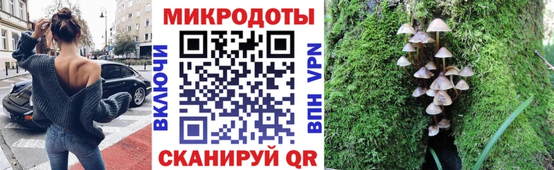Псилоцибиновые грибы Magic Shrooms  Курильск 